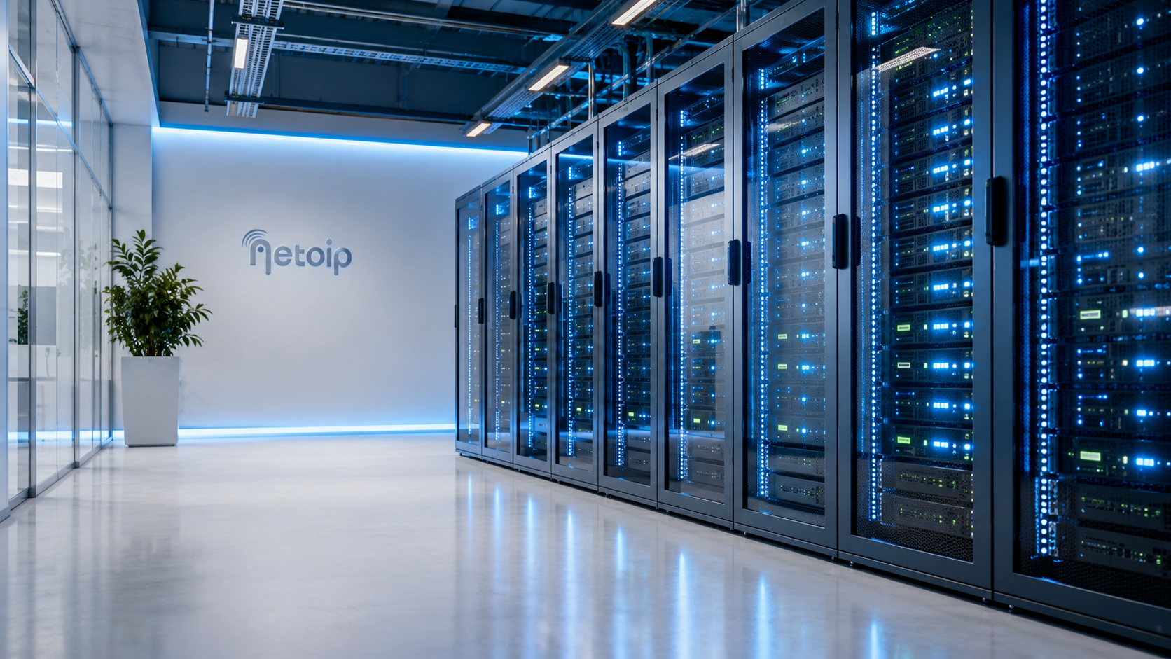 Immagine illustrativa di una sala server per i servizi di colocation NetoIP